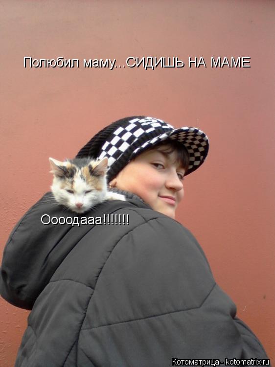 Котоматрица: Полюбил маму...СИДИШЬ НА МАМЕ Оооодааа!!!!!!!