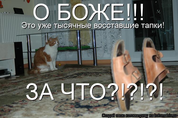 Котоматрица: О БОЖЕ!!! Это уже тысячные восставшие тапки!  ЗА ЧТО?!?!?!
