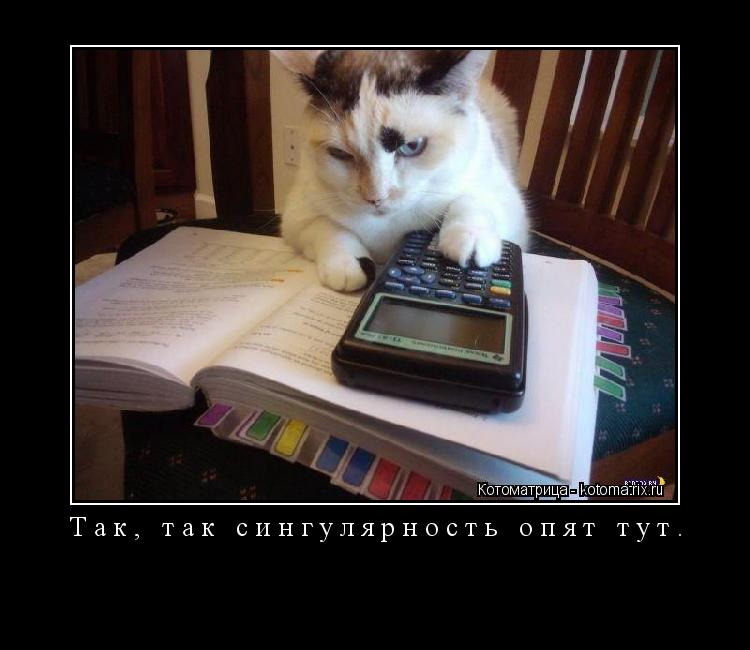 Так, так сингулярность опят тут. ... Котоматрица: Так, так сингулярность опят тут.