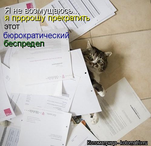 Я не возмущаюсь... я прррошу прекратить этот бюрократический беспредел... Котоматрица: Я не возмущаюсь... я прррошу прекратить этот бюрократический беспредел