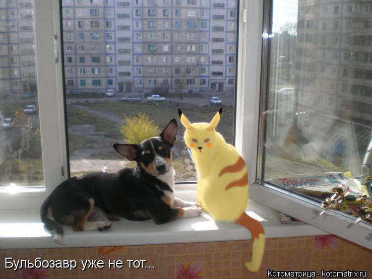 Бульбозавр уже не тот...... Котоматрица: Бульбозавр уже не тот...