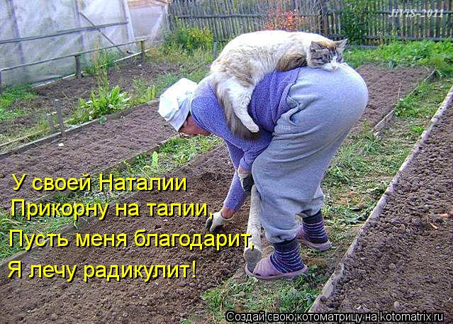 Котоматрица: У своей Наталии Прикорну на талии, Пусть меня благодарит, Я лечу радикулит!
