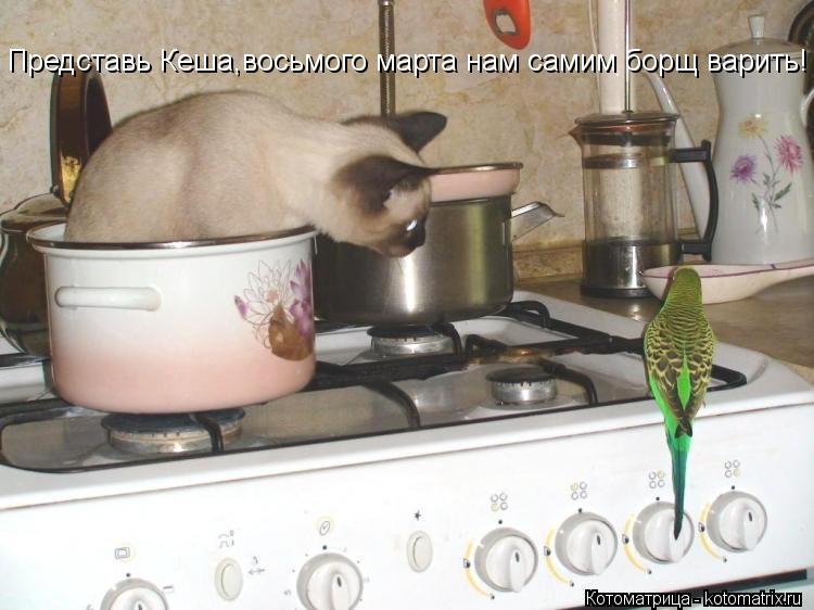 Представь Кеша,восьмого марта нам самим борщ варить!... Котоматрица: Представь Кеша,восьмого марта нам самим борщ варить!