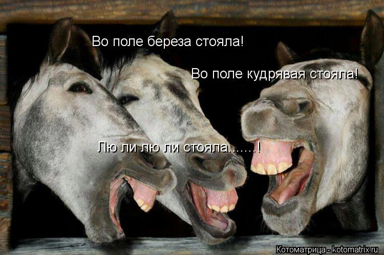 Во поле береза стояла! Во поле кудрявая стояла! Лю ли лю ли стояла.......!... Котоматрица: Во поле береза стояла! Во поле кудрявая стояла! Лю ли лю ли стояла.......!