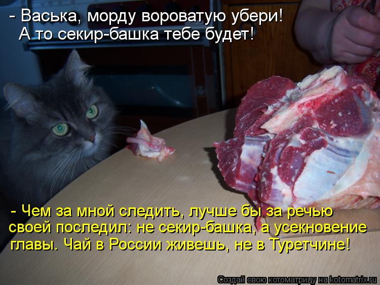 - Васька, морду вороватую убери! А то секир-башка тебе будет! - Чем за мной следить, лучше бы за реч... Котоматрица: - Васька, морду вороватую убери! А то секир-башка тебе будет! - Чем за мной следить, лучше бы за речью своей последил: не секир-башка, а усекно