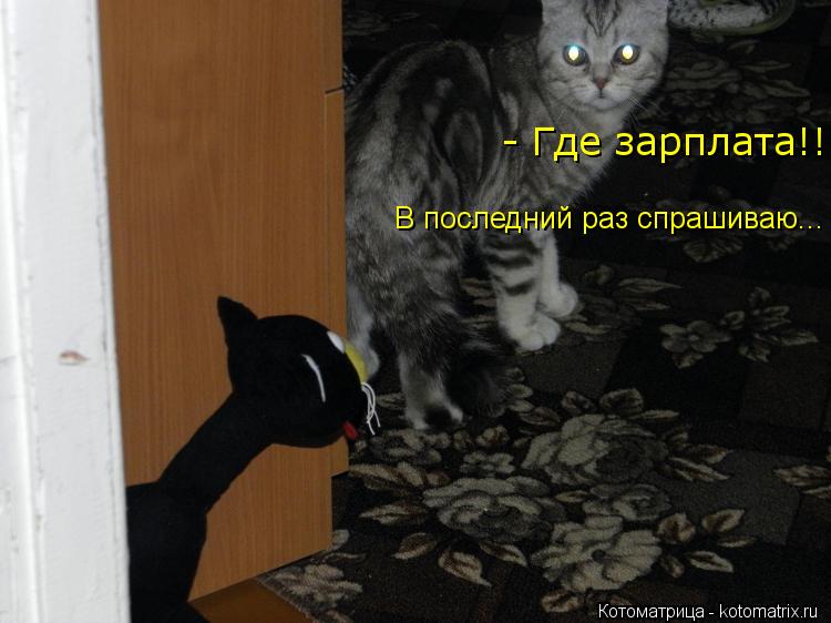 Котоматрица: В последний раз спрашиваю...  - Где зарплата!!!