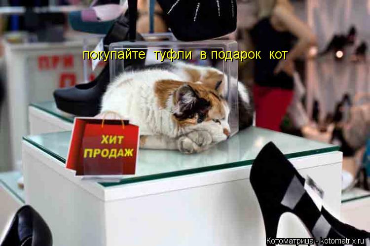Как на своём сервере сделать плоский мир Как на своём сервере сделать плоский мир