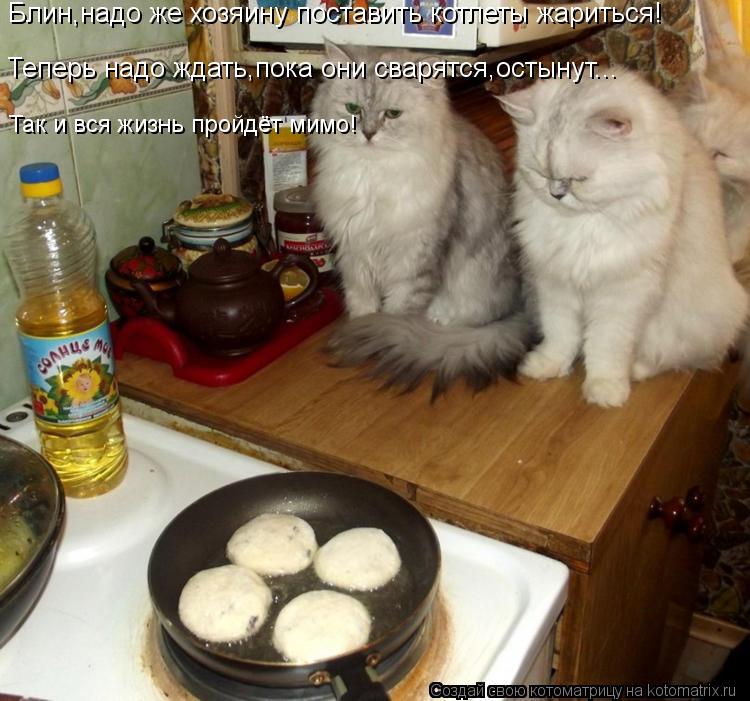 Котоматрица: Блин,надо же хозяину поставить котлеты жариться! Теперь надо ждать,пока они сварятся,остынут... Так и вся жизнь пройдёт мимо!