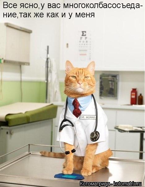 Все ясно,у вас многоколбасосъеда- ние ,так же как и у меня... Котоматрица: Все ясно,у вас многоколбасосъеда- ние ,так же как и у меня