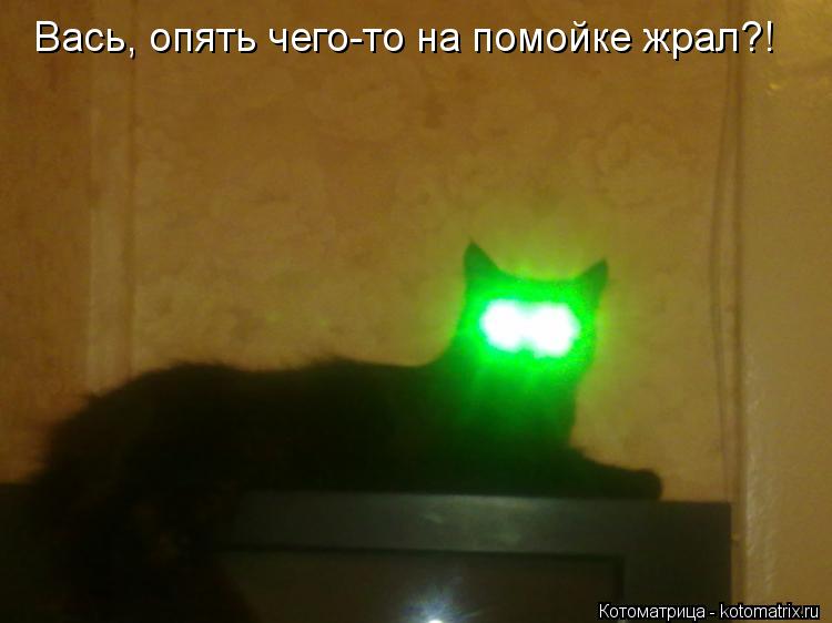 Котоматрица: Вась, опять чего-то на помойке жрал?!