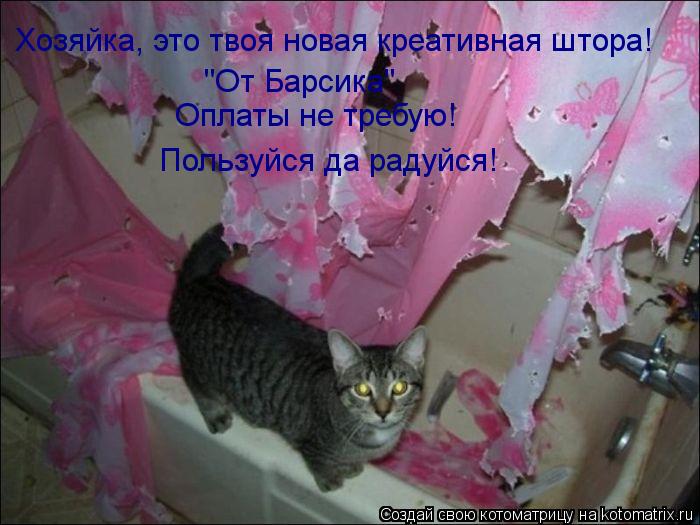 Котоматрица: Хозяйка, это твоя новая креативная штора! "От Барсика" Оплаты не требую! Пользуйся да радуйся!