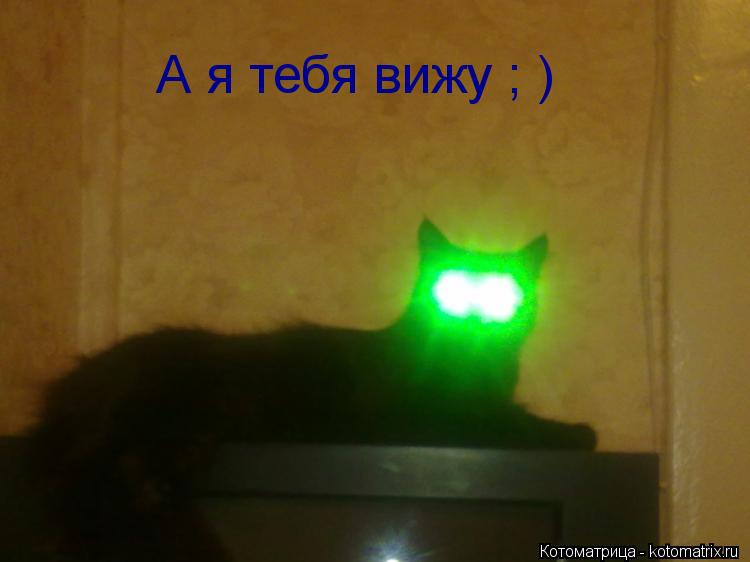 Котоматрица: А я тебя вижу ; )