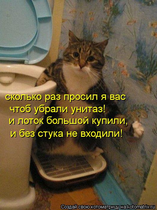 Котоматрица: cколько раз просил я вас чтоб убрали унитаз! и лоток большой купили, и без стука не входили!