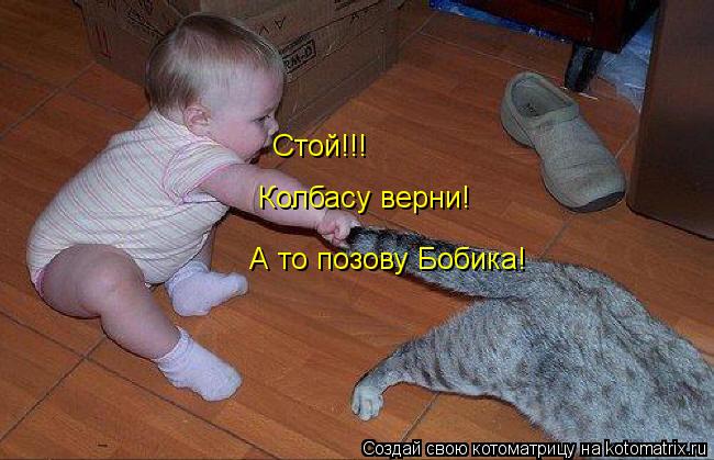 Стой!!! Колбасу верни! А то позову Бобика!... Котоматрица: Стой!!! Колбасу верни! А то позову Бобика!