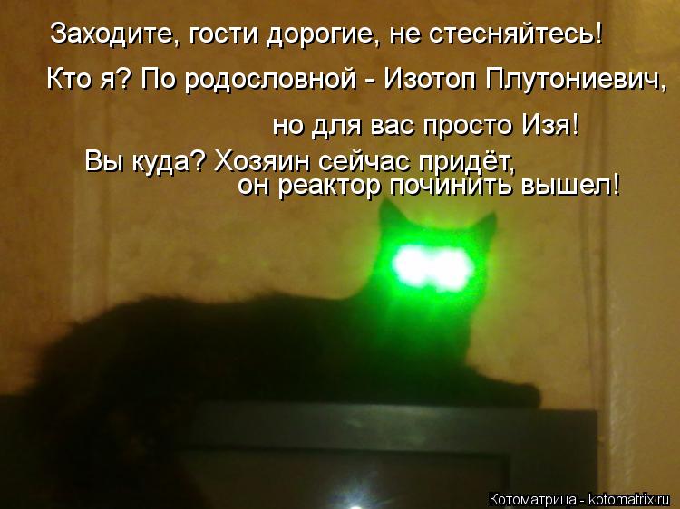 Котоматрица: но для вас просто Изя! Кто я? По родословной - Изотоп Плутониевич, Заходите, гости дорогие, не стесняйтесь! Вы куда? Хозяин сейчас придёт, он р