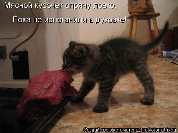 Котоматрица: Мясной кусочек спрячу ловко, Пока не испоганили в духовке!