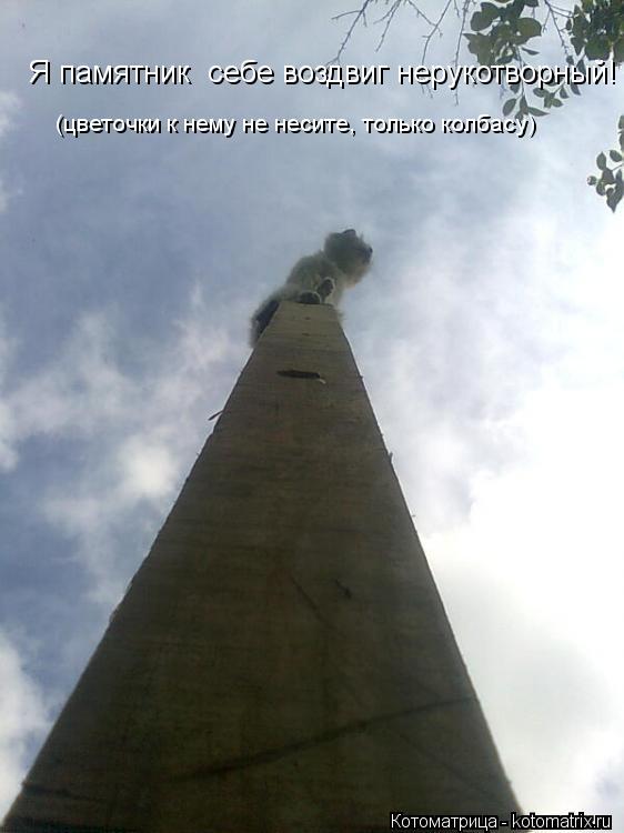 Я памятник себе воздвиг нерукотворный! (цветочки к нему не несите, только колбасу)... Котоматрица: Я памятник себе воздвиг нерукотворный! (цветочки к нему не несите, только колбасу)