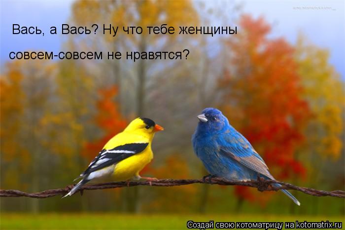 Вась, а Вась? Ну что тебе женщины совсем-совсем не нравятся?... Котоматрица: Вась, а Вась? Ну что тебе женщины совсем-совсем не нравятся?