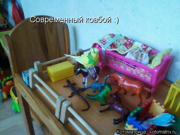 Котоматрица: Современный ковбой :)