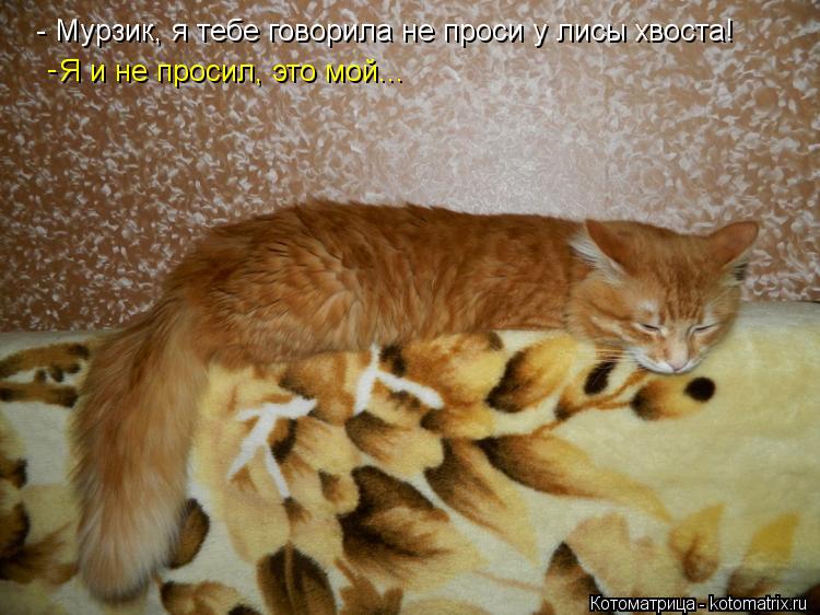 - Мурзик, я тебе говорила не проси у лисы хвоста! Я и не просил, это мой... -... Котоматрица: - Мурзик, я тебе говорила не проси у лисы хвоста! Я и не просил, это мой... -
