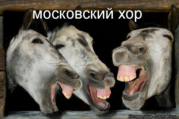 московский хор... Котоматрица: московский хор