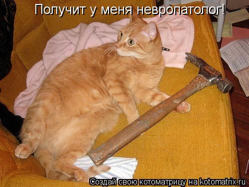 Котоматрица: Получит у меня невропатолог!