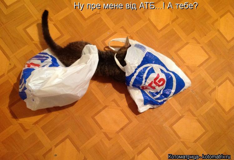 Котоматрица: Ну пре мене від АТБ...! А тебе?