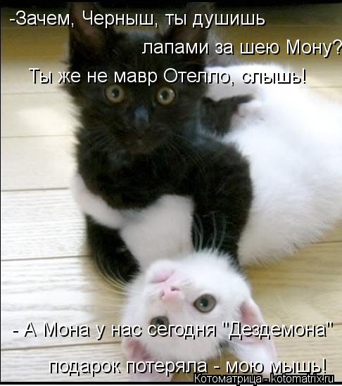 -Зачем, Черныш, ты душишь лапами за шею Мону? Ты же не мавр Отелло, слышь! - А Мона у нас сегодня "Д... Котоматрица: -Зачем, Черныш, ты душишь лапами за шею Мону? Ты же не мавр Отелло, слышь! - А Мона у нас сегодня "Дездемона" подарок потеряла - мою мышь!