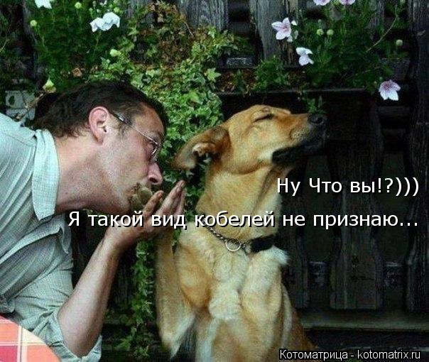 Ну Что вы!?))) Я такой вид кобелей не признаю...... Котоматрица: Ну Что вы!?))) Я такой вид кобелей не признаю...