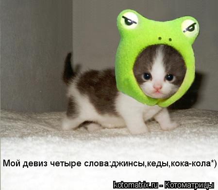 Котоматрица: Мой девиз четыре слова:джинсы,кеды,кока-кола*)