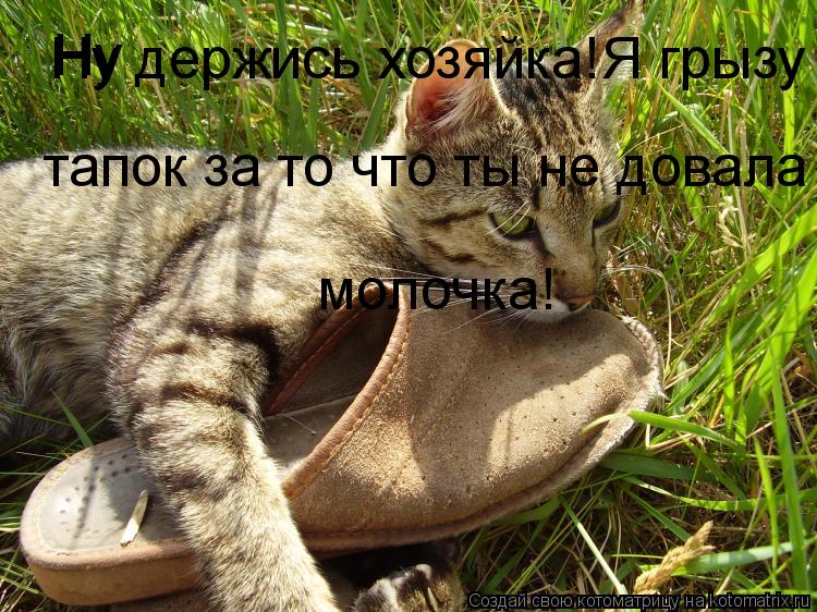 Ну Ну держись хозяйка!Я грызу тапок за то что ты не довала молочка! тапок за то что ты не довала моло... Котоматрица: Ну Ну держись хозяйка!Я грызу тапок за то что ты не довала молочка! тапок за то что ты не довала молочка! молочка!