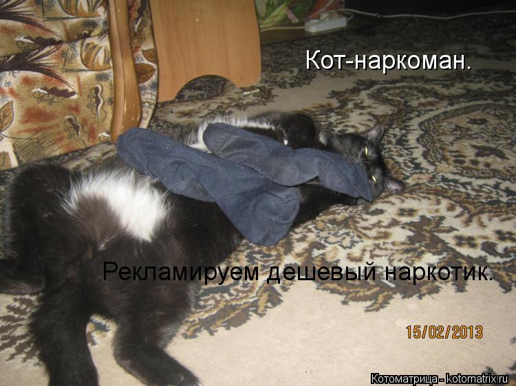 Кот-наркоман. Рекламируем дешевый наркотик.... Котоматрица: Кот-наркоман. Рекламируем дешевый наркотик.
