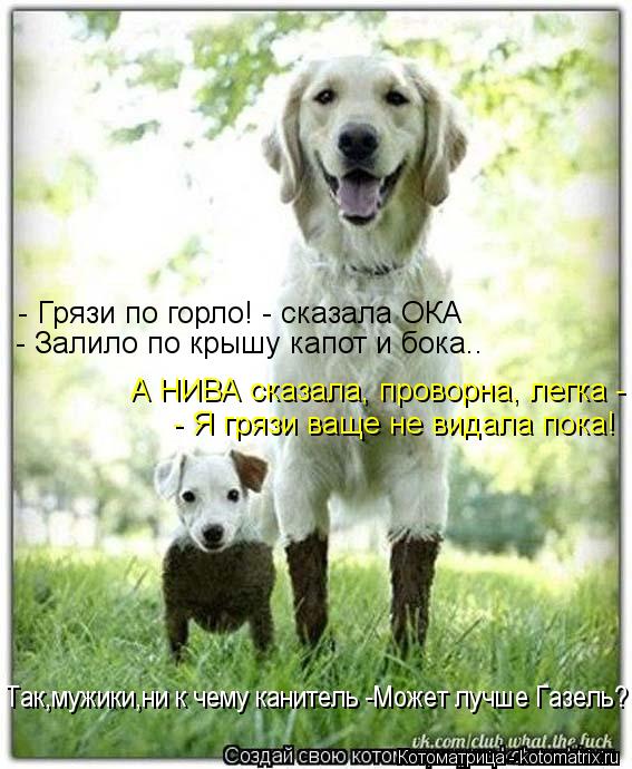 Котоматрица: - Грязи по горло! - сказала ОКА - Залило по крышу капот и бока.. А НИВА сказала, проворна, легка - - Я грязи ваще не видала пока! Так,мужики,ни к че