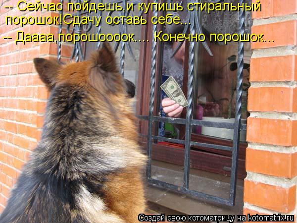 -- Сейчас пойдешь,и купишь стиральный порошок!Сдачу оставь себе... -- Даааа,порошоооок.... Конечно п... Котоматрица: -- Сейчас пойдешь,и купишь стиральный порошок!Сдачу оставь себе... -- Даааа,порошоооок.... Конечно порошок...