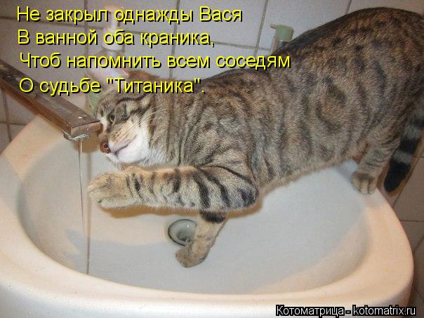 Котоматрица: Не закрыл однажды Вася В ванной оба краника,  Чтоб напомнить всем соседям  О судьбе "Титаника".