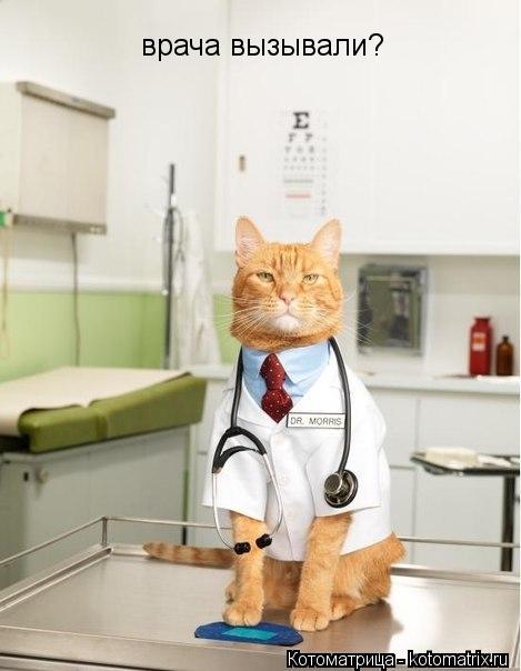 Котоматрица: врача вызывали?