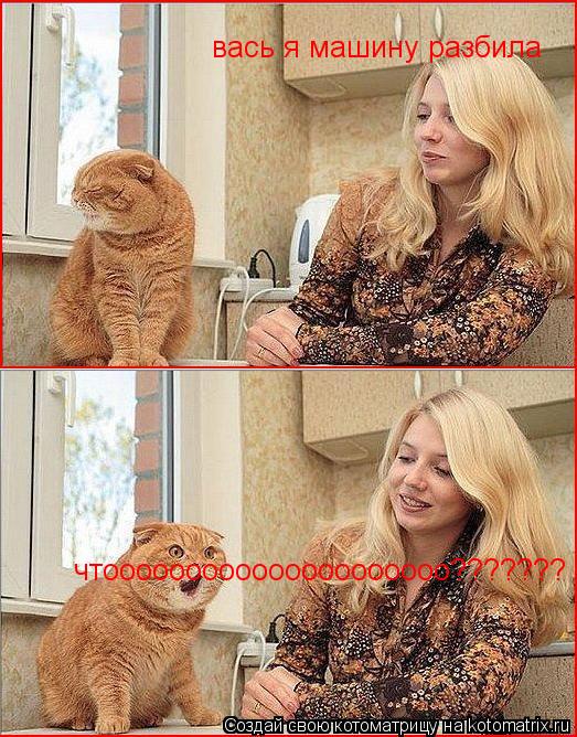 вась я машину разбила чтооооооооооооооооооооо??????? чтооооооооооооооооооооо???????... Котоматрица: вась я машину разбила чтооооооооооооооооооооо??????? чтооооооооооооооооооооо???????