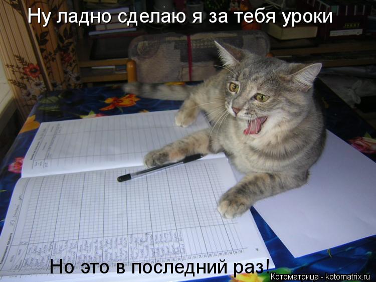 Ну ладно сделаю я за тебя уроки Но это в последний раз!... Котоматрица: Ну ладно сделаю я за тебя уроки Но это в последний раз!