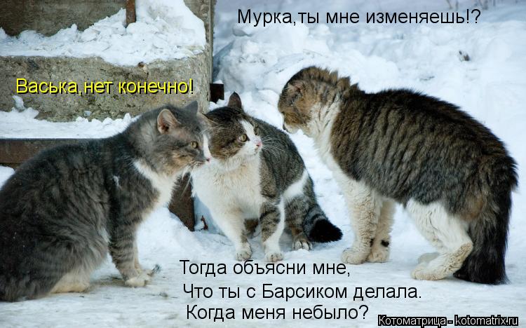 Котоматрица: Мурка,ты мне изменяешь!? Васька,нет конечно! Тогда объясни мне, Что ты с Барсиком делала. Когда меня небыло?