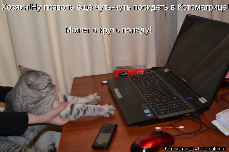 Котоматрица: Хозяин!Ну позволь ещё чуть-чуть посидеть в Котоматрице! Может в круть попаду!