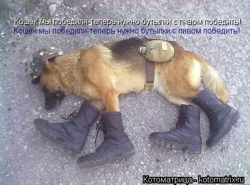 Кошек мы победили-теперь нужно бутылки с пивом победить! Кошек мы победили-теперь нужно бутылки с пив... Котоматрица: Кошек мы победили-теперь нужно бутылки с пивом победить! Кошек мы победили-теперь нужно бутылки с пивом победить!