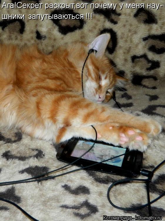 Ага!Секрет раскрыт,вот почему у меня нау- Ага!Секрет раскрыт,вот почему у меня нау- шники запутывають... Котоматрица: Ага!Секрет раскрыт,вот почему у меня нау- Ага!Секрет раскрыт,вот почему у меня нау- шники запутываються !!!