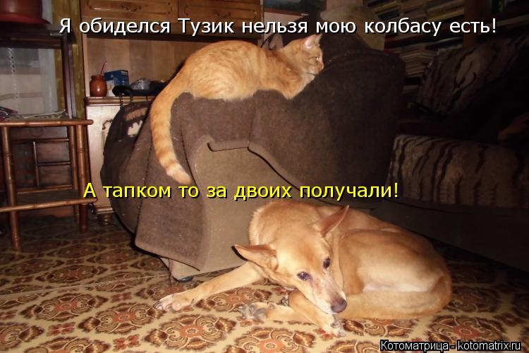 Я обиделся Тузик нельзя мою колбасу есть! А тапком то за двоих получали!... Котоматрица: Я обиделся Тузик нельзя мою колбасу есть! А тапком то за двоих получали!