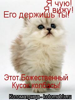 Я чую! Я вижу! Его держишь ты! Этот Божественный Кусок колбасы!... Котоматрица: Я чую! Я вижу! Его держишь ты! Этот Божественный Кусок колбасы!
