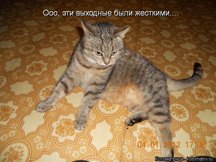 Ооо, эта пятница Ооо, эти выходные были жесткими.... Ооо, эти выходные были жесткими....... Котоматрица: Ооо, эта пятница Ооо, эти выходные были жесткими.... Ооо, эти выходные были жесткими....