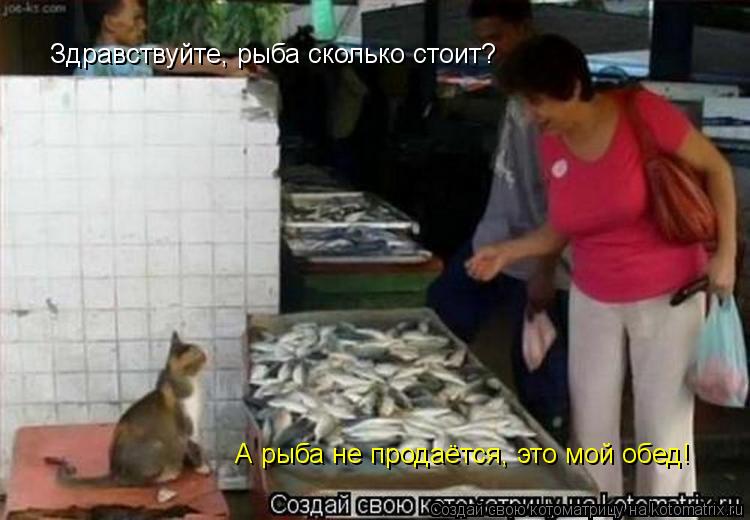 Котоматрица: Здравствуйте, рыба сколько стоит? А рыба не продаётся, это мой обед!