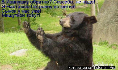 Котоматрица: В Иванушку обратно? Спасибо, не надо! Я Настасью Петровну встретил! Сынок у нас уже! Мишуткой зовут!