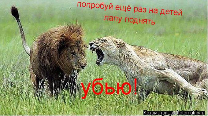 попробуй ещё раз на детей лапу поднять убью!... Котоматрица: попробуй ещё раз на детей лапу поднять убью!