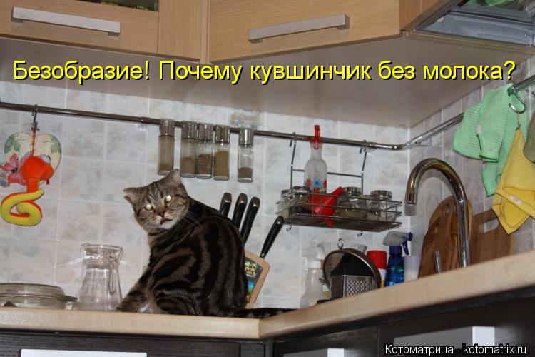Безобразие! Почему кувшинчик без молока?... Котоматрица: Безобразие! Почему кувшинчик без молока?