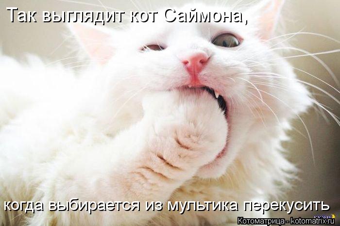 Котоматрица: Так выглядит кот Саймона,   когда выбирается из мультика перекусить